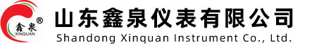 山東鑫（xīn）泉儀表有限公司
